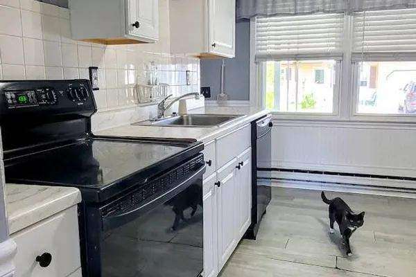 23 Falmouth Ave #72, photo 3